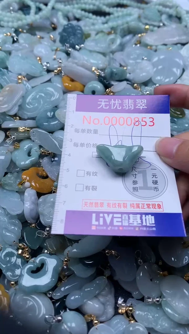 翡翠未镶嵌吊坠(不含链)853