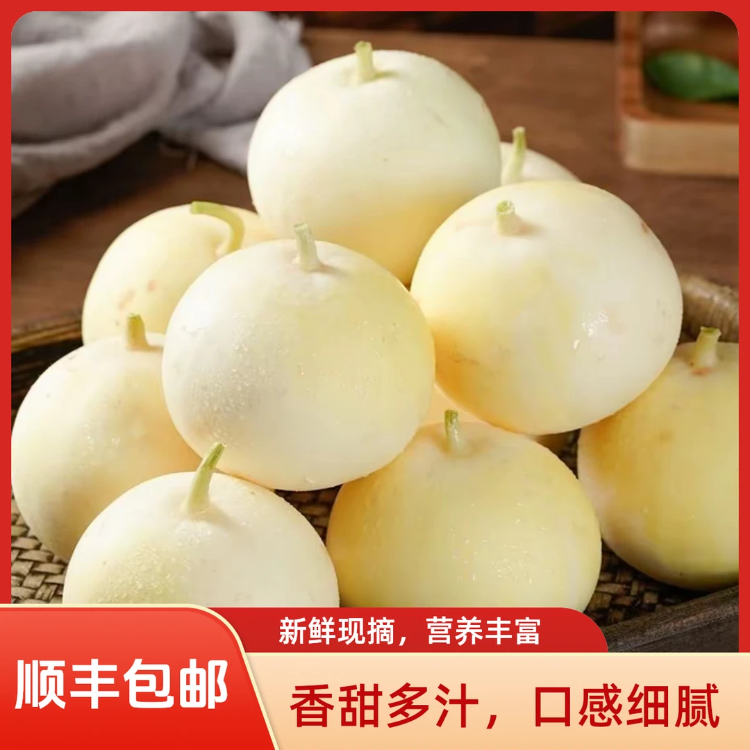 【顺丰包邮】苏北本地老式甜瓜小白瓜正宗脆甜爽口皮薄肉厚新鲜现摘