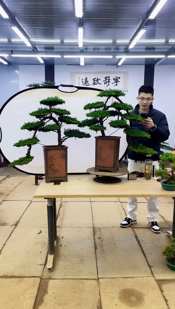 无花朵0000000000000000000