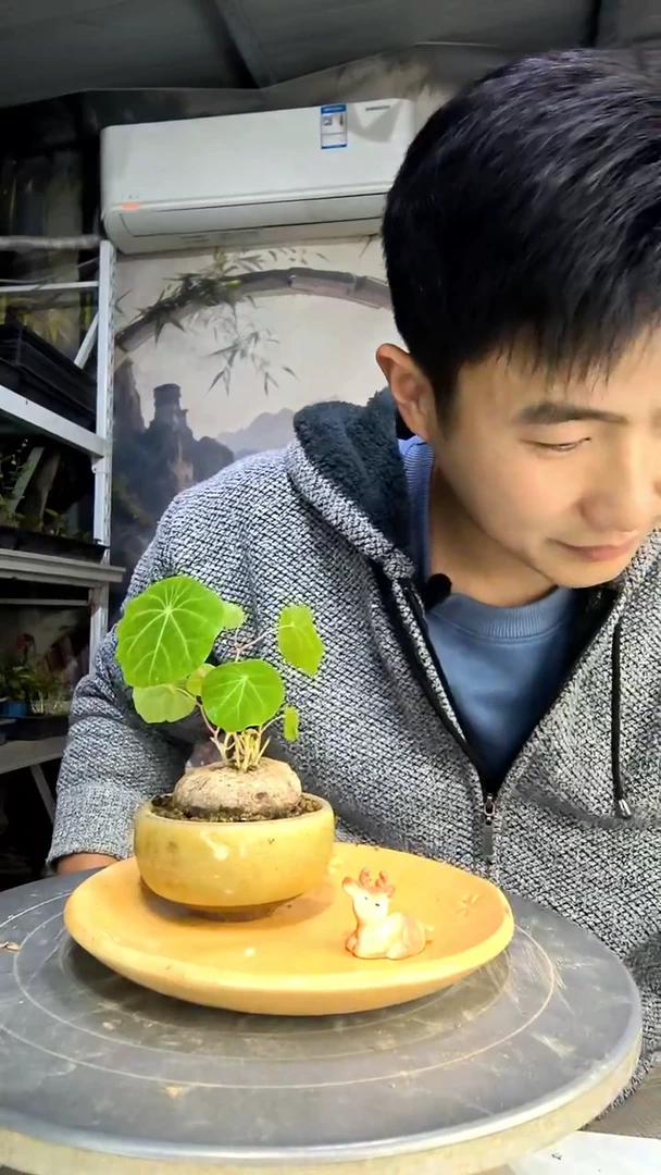 m**'中青园艺一物一拍201