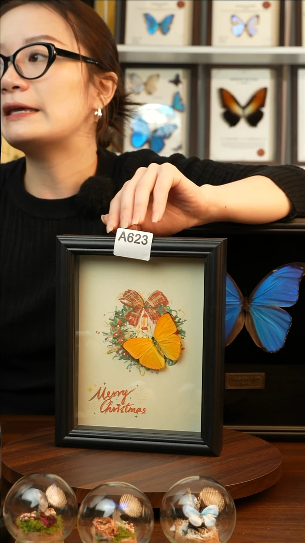 杏菲粉蝶-圣诞款（8寸方黑色新款框）A623