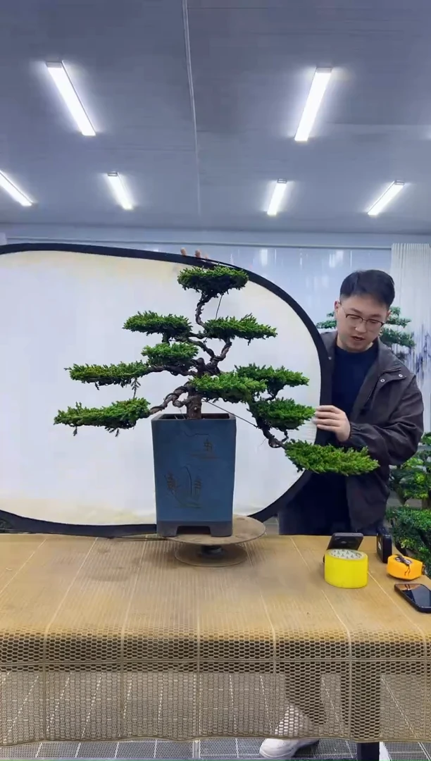 无花朵000000000000000000