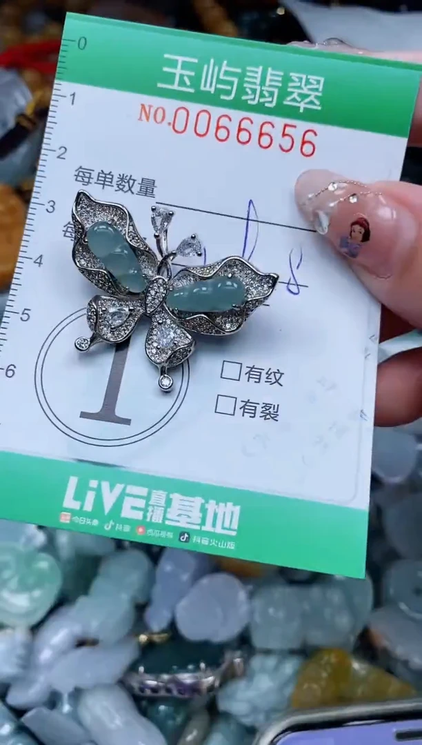 【闪购商品】翡翠颈饰未镶嵌闪购0066656