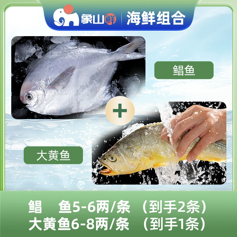 象山鲜东海海捕海鲜组合鲳鱼鲳鱼5-6两/条+大黄鱼6-8两/条水产