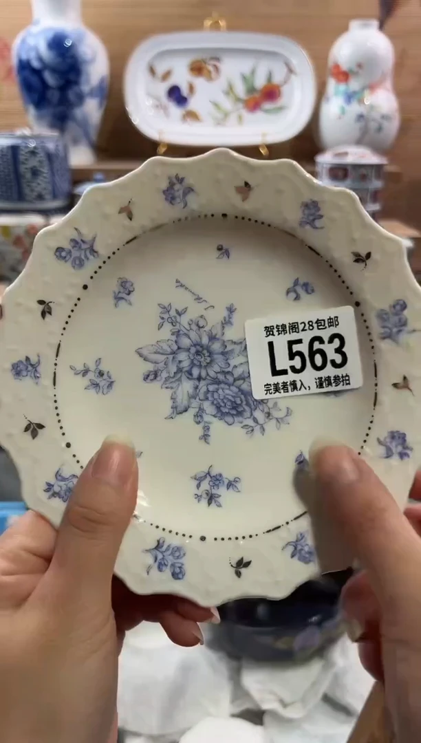 瓷片---------L563