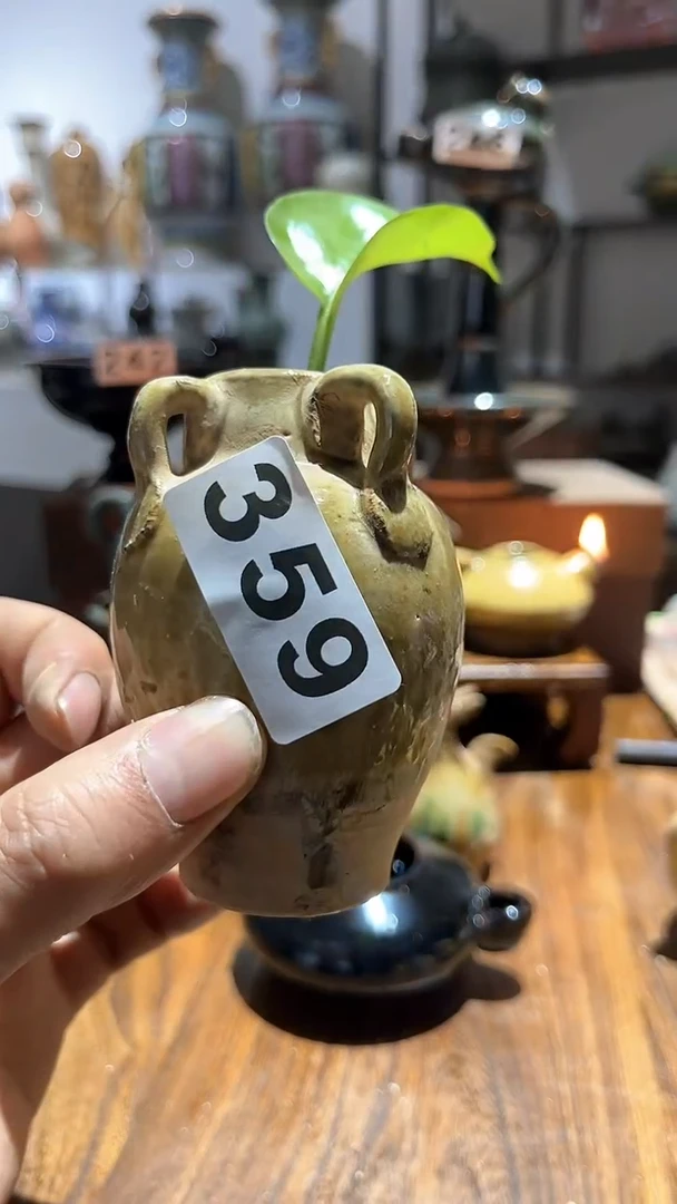【闪购商品】摆件