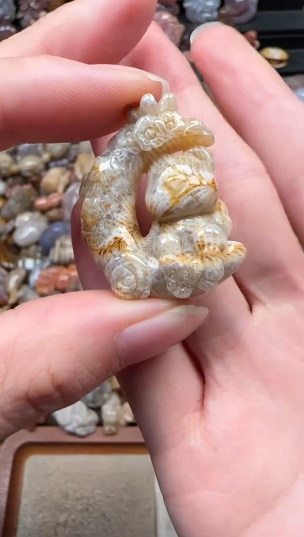 颈饰未镶嵌硅化珊瑚（珊瑚玉）317