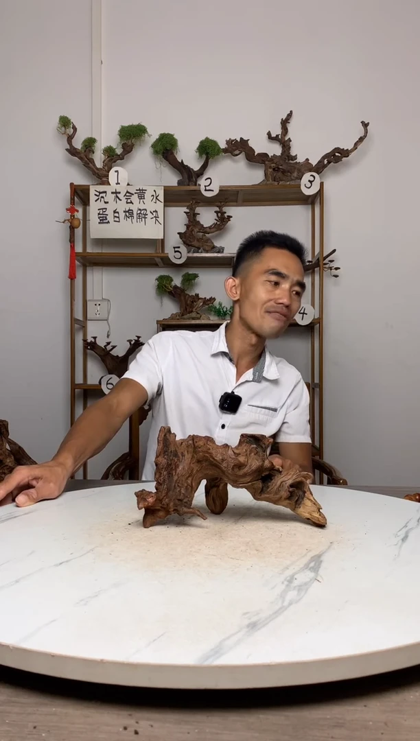 ?****?鱼缸造景沉木摆件