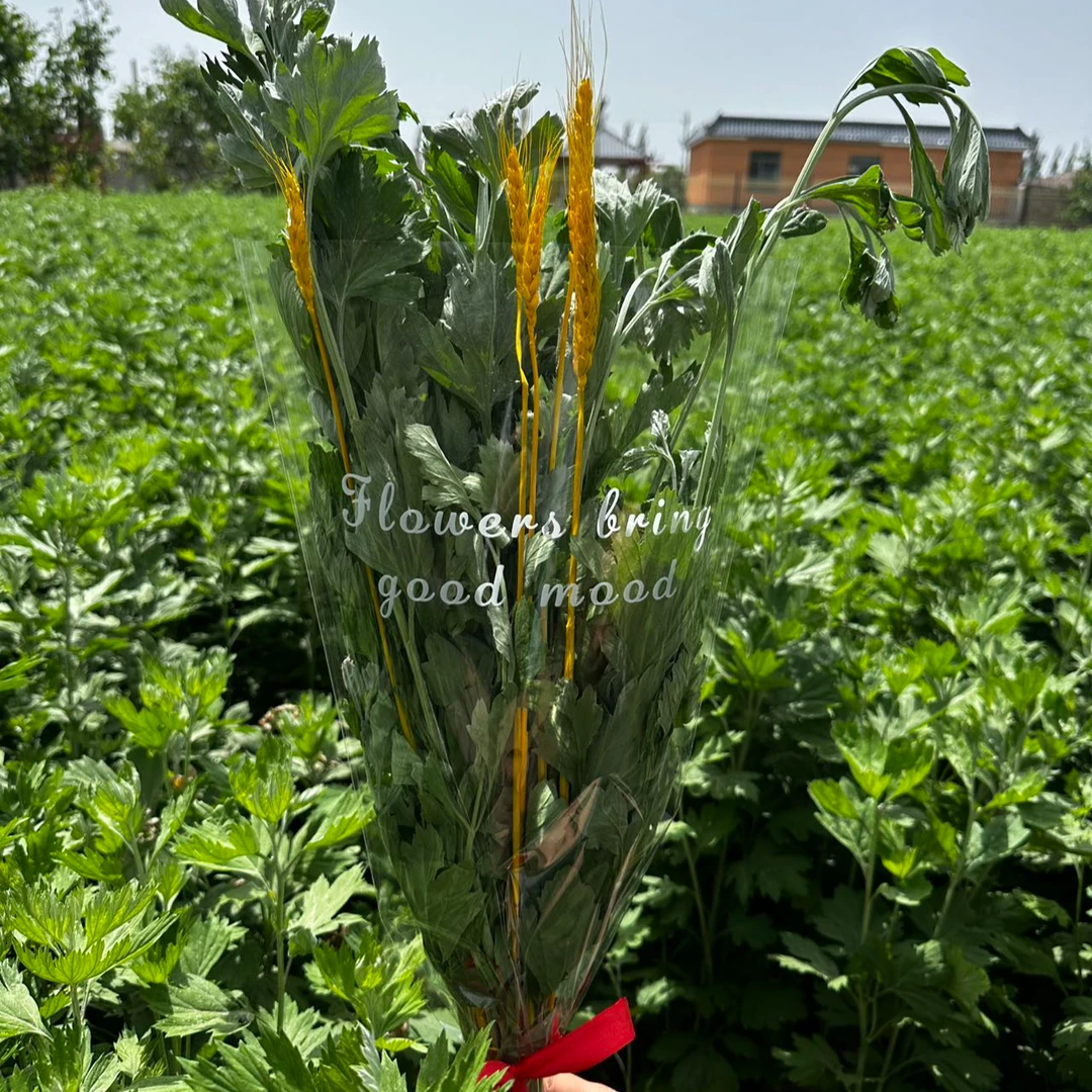 新疆的包邮 新疆艾草花束端午节