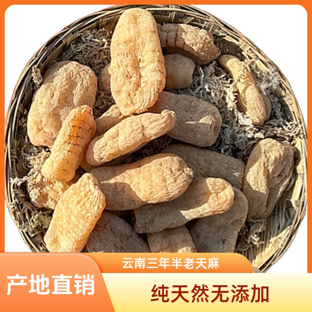云南老天麻师弟家的小草坝干天麻无硫三年半老天麻250g半斤装中果
