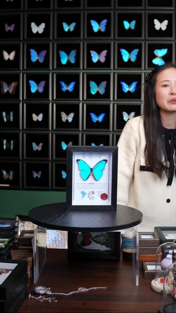 绿幽灵闪蝶标本摆件