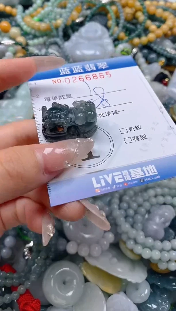 翡翠未镶嵌颈饰闪购0266865多样性发其一