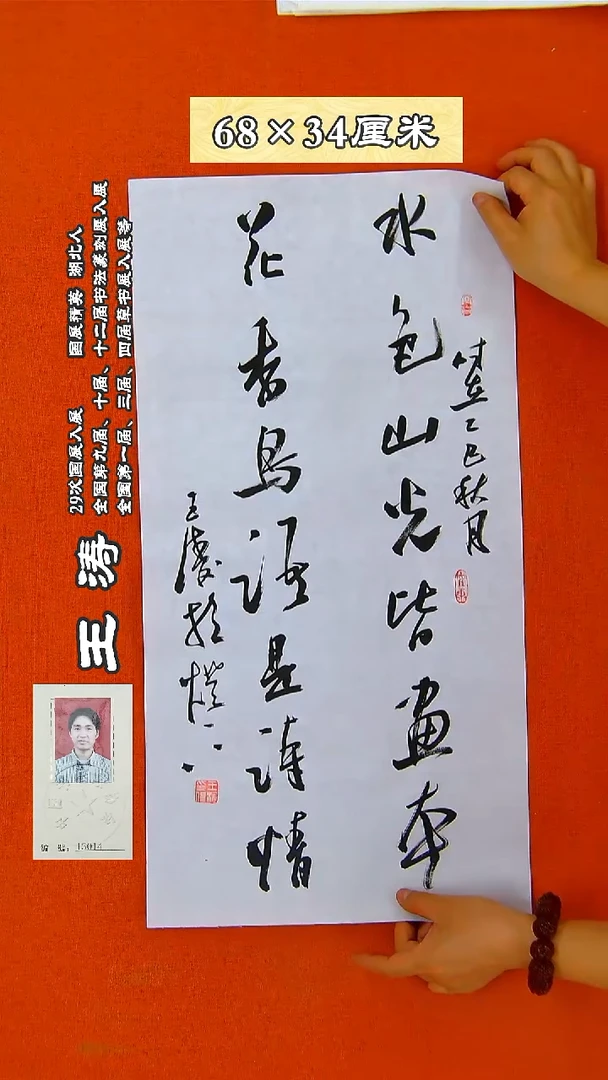 书法51R王涛书法作品