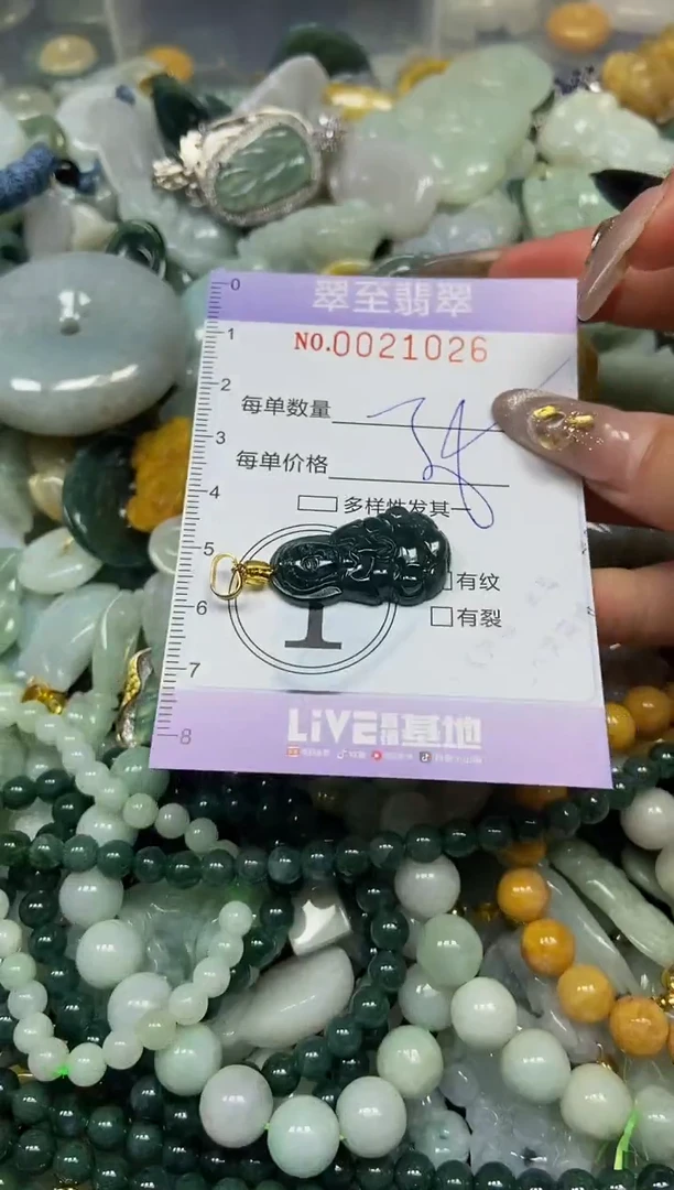 【闪购商品】翡翠颈饰未镶嵌闪购0021026