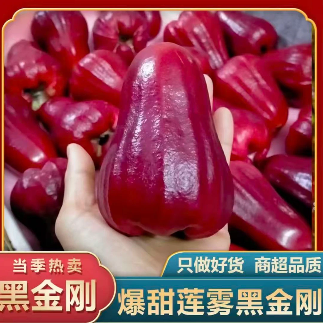 【顺丰发货】海南三亚黑金刚莲雾清甜脆爽多汁新鲜应季仙女果水果