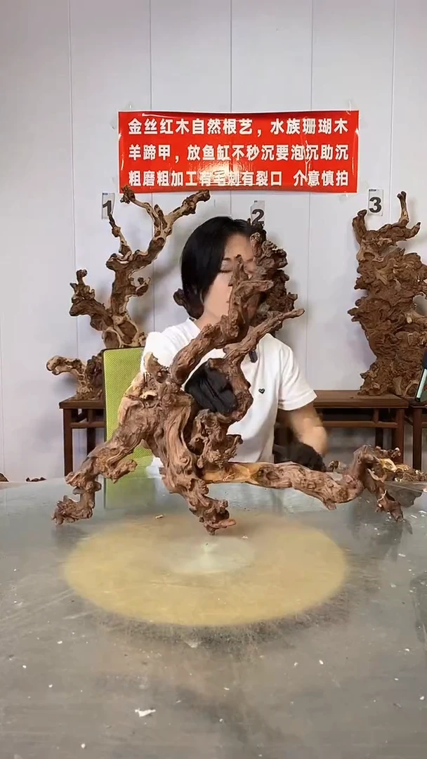 香榧木金丝红木 羊蹄甲