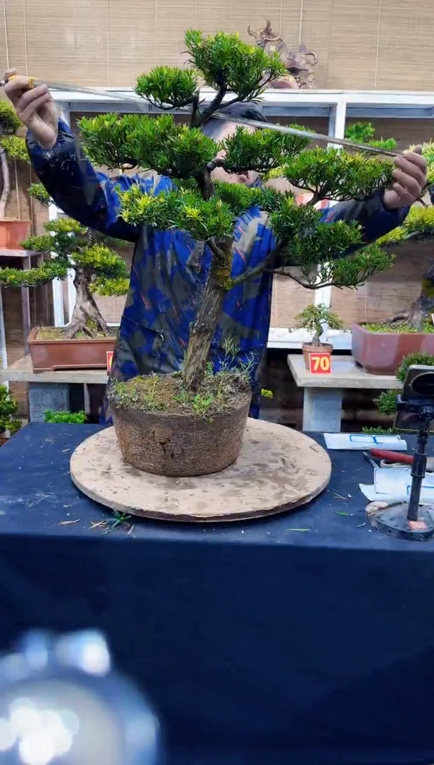 【闪购商品】88888888