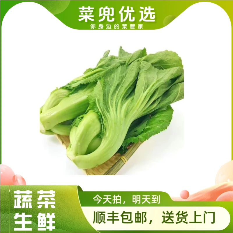 大芥菜 500g±20g