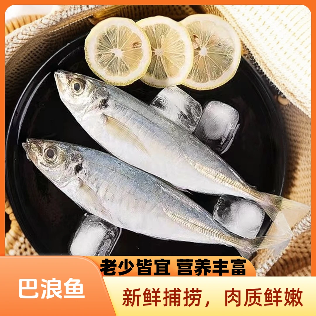 [新货]海捕巴浪鱼新鲜海鱼竹池竹夹鱼秋刀带竹荚鱼红鲳鱼马友鱼