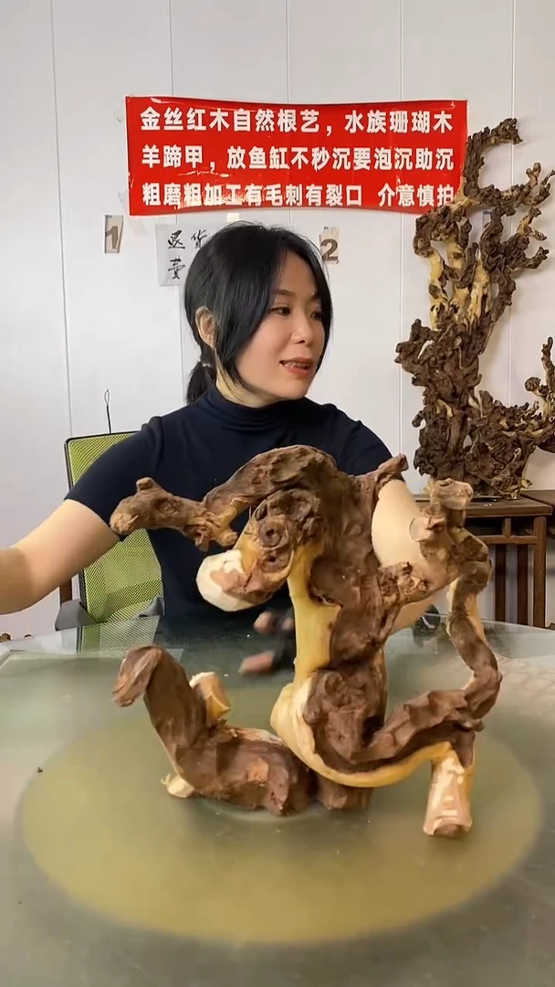 木拾*金丝红木 羊蹄甲