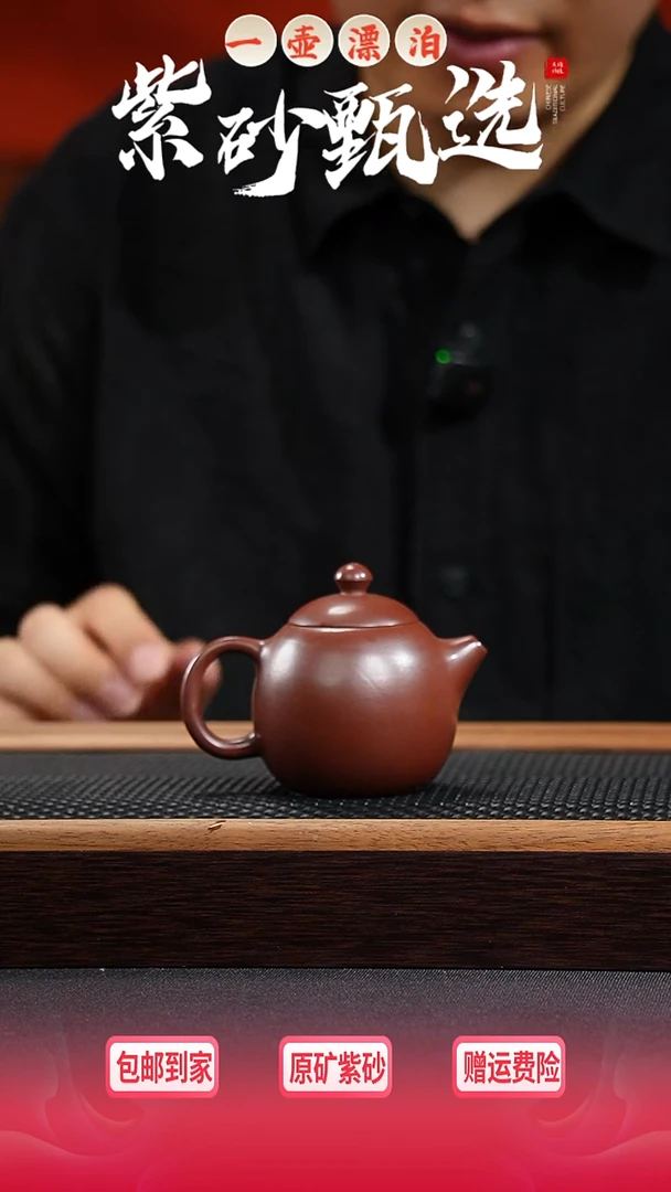 茶壶紫砂 一壶漂泊紫砂茶器1604