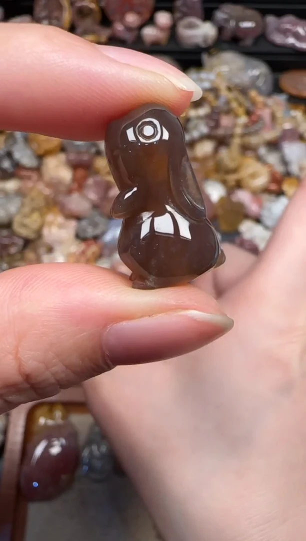 颈饰未镶嵌硅化珊瑚（珊瑚玉）539