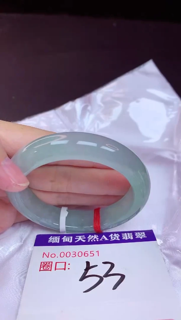 未镶嵌手镯翡翠53