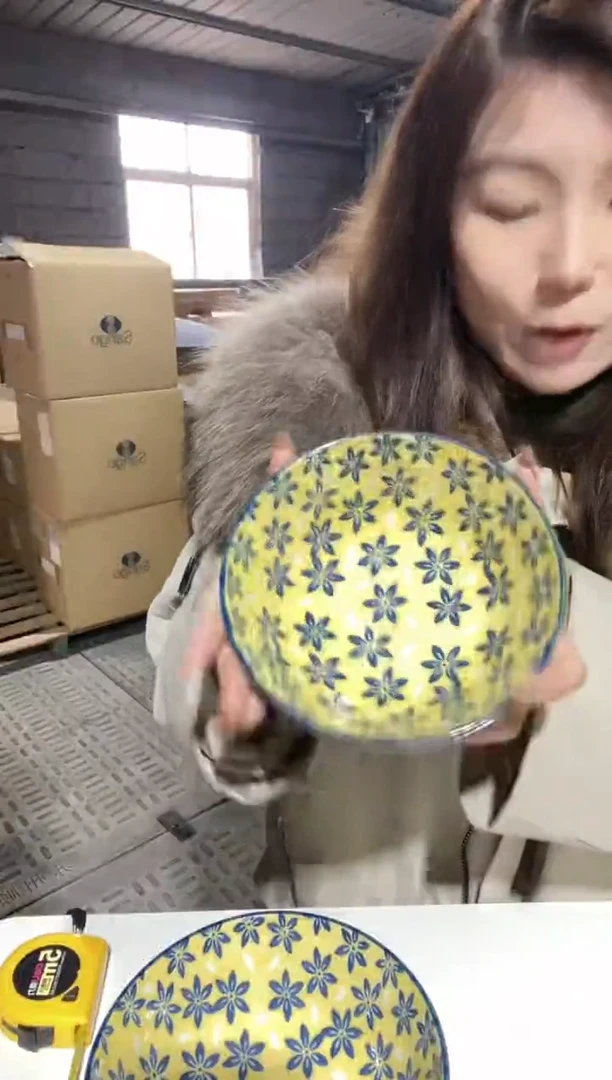 【闪购商品】福利 波西尼亚碗 两只