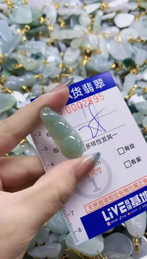 颈饰未镶嵌翡翠纯天然a货翡翠