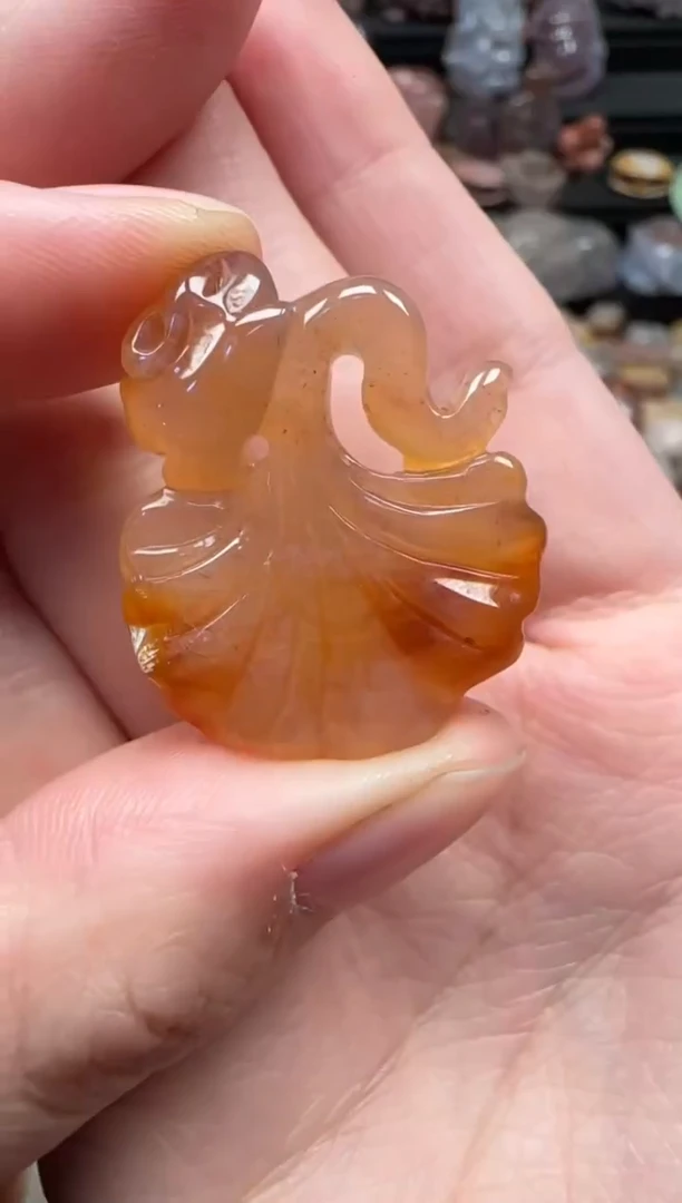 颈饰未镶嵌硅化珊瑚（珊瑚玉）803