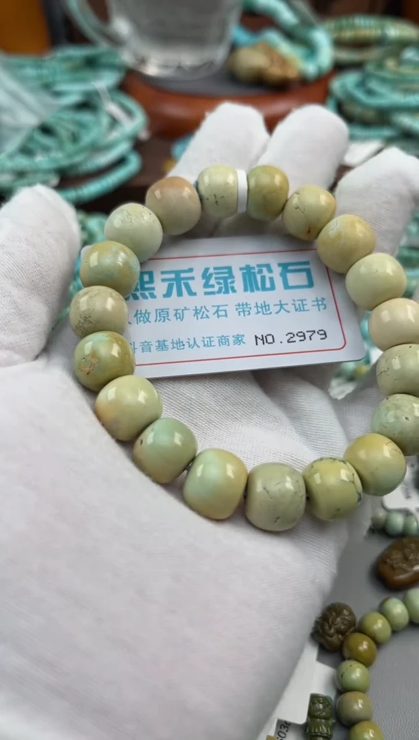 绿松石未镶嵌松石2979