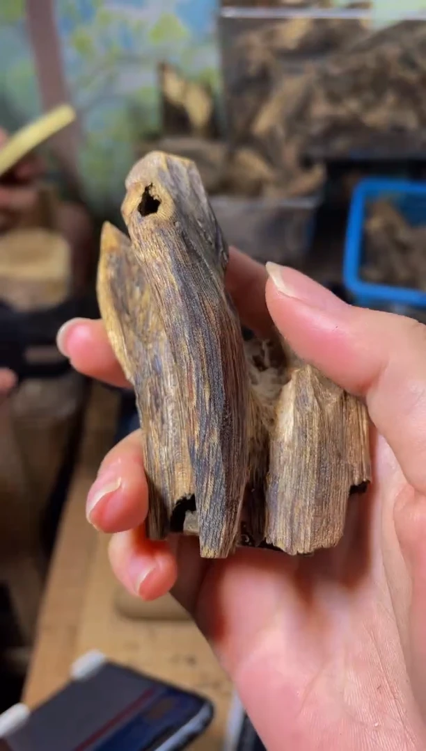 沉香碎屑沉香虫漏1