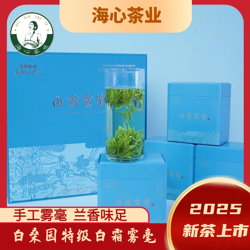 【特级白霜雾毫】舒城小兰花晓天白桑园核心产区海心茶业2025新茶