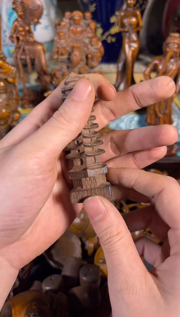 黄杨木11111111111111