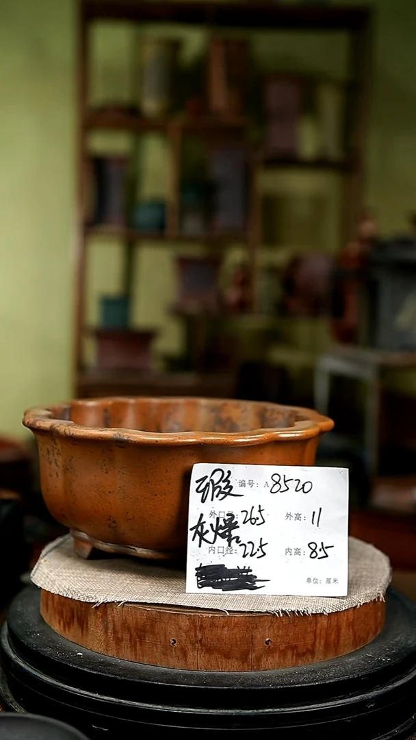 紫砂花盆花卉园艺8520瑕