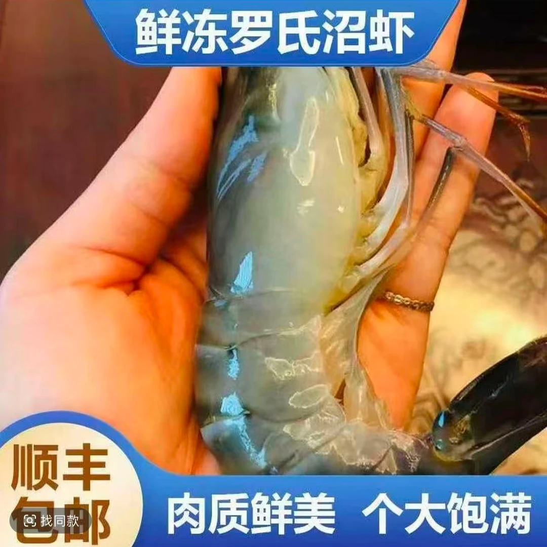 三斤新鲜罗氏虾 一斤10-12只 顺丰冷链发货