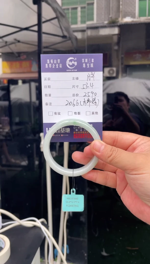 未镶嵌手镯翡翠W 54正圈 2066