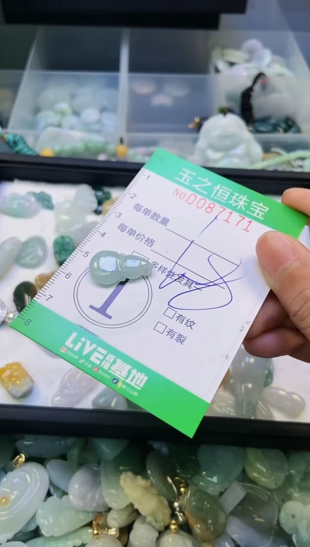 翡翠未镶嵌颈饰闪购0087171