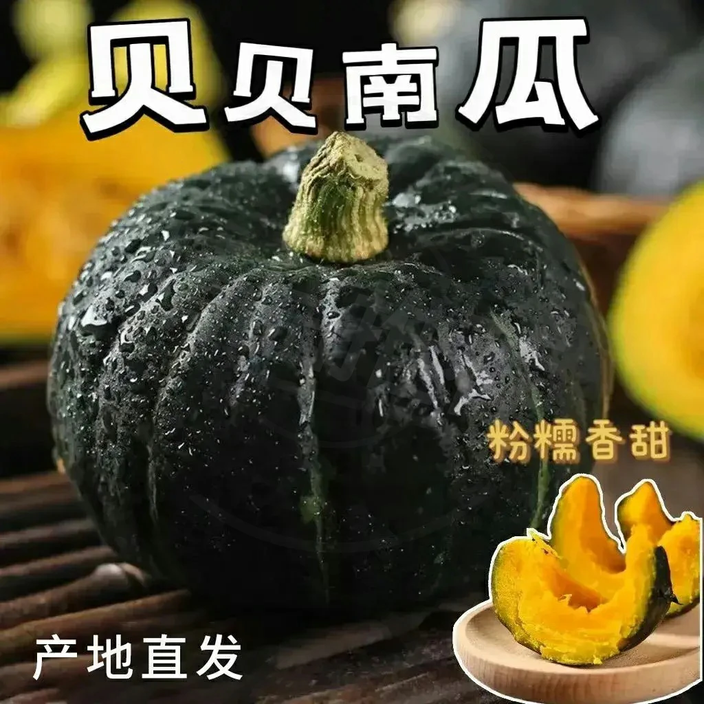 正宗贝贝南瓜老南瓜板栗味新鲜粉糯甜宝宝小南瓜辅食粗粮蔬菜母婴