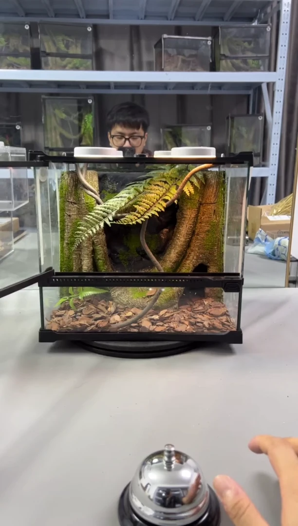 玻璃【长30宽25高27】爬宠造景缸睫角守宫树栖蜘蛛饲养箱爬宠爬虫缸