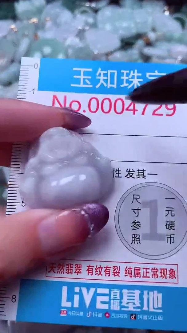 翡翠未镶嵌吊坠(不含链)4729