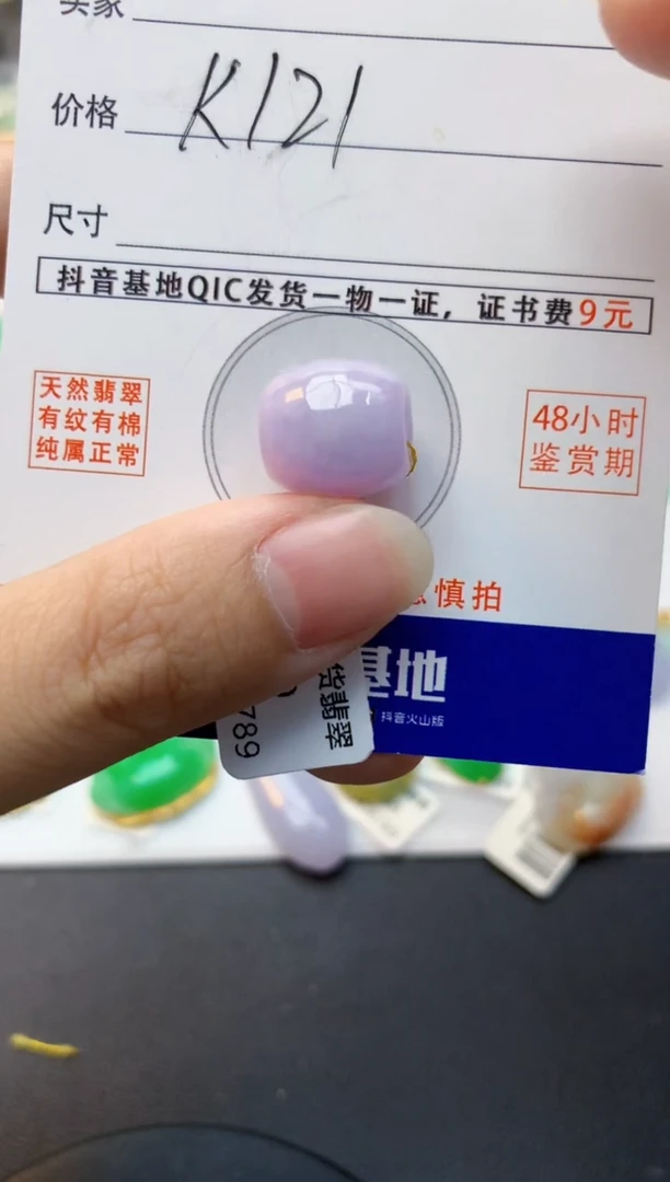 颈饰未镶嵌翡翠天然缅甸A货翡翠