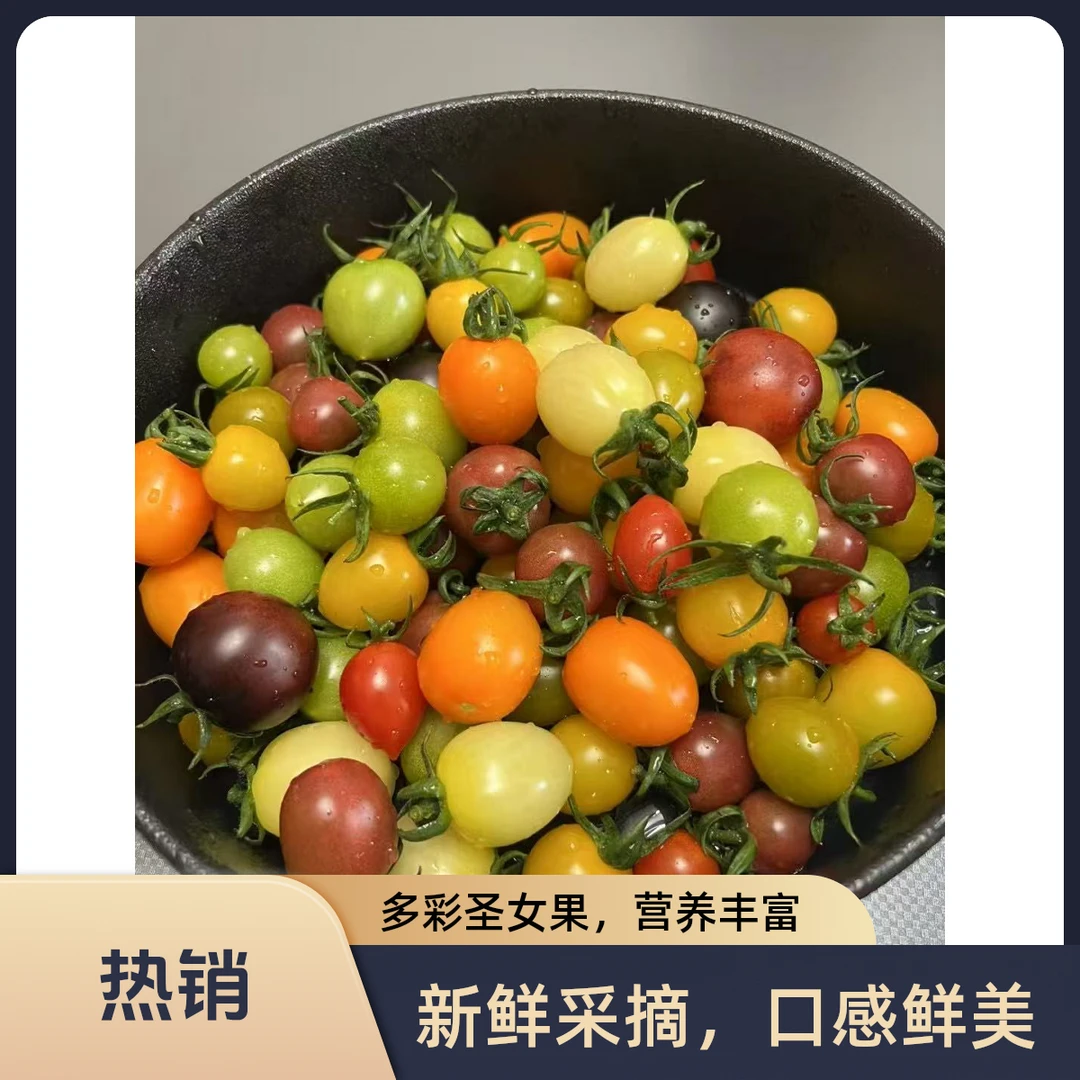 多彩小番茄随机发四个颜色