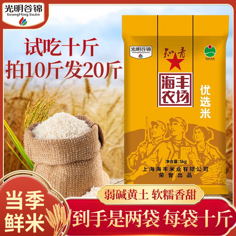【拍十斤送十斤，2025年当月现磨】知青海丰农场优选米5kg（非真空）