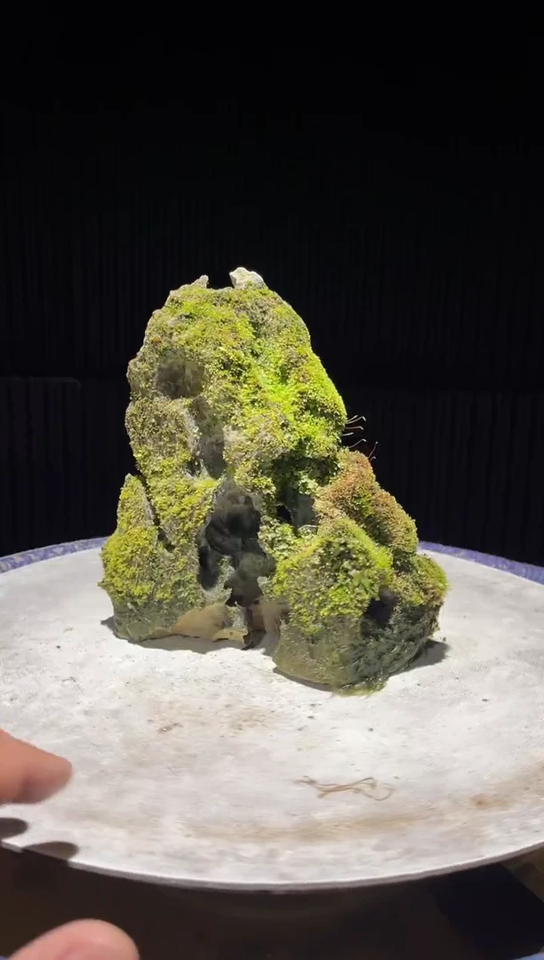 吴定石一物一拍专属