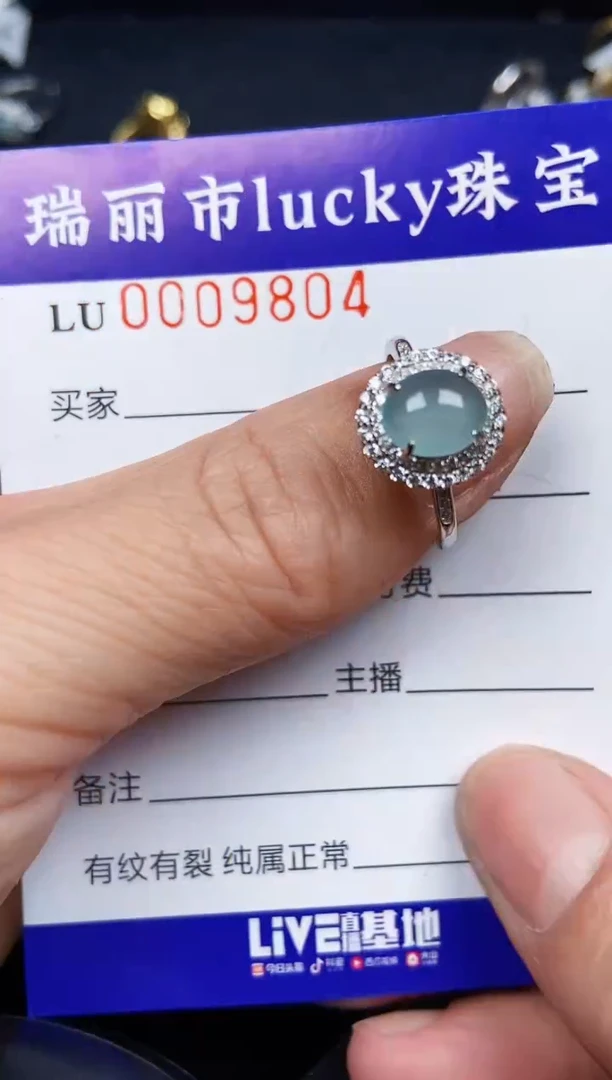 翡翠银S925镶嵌颈饰9804