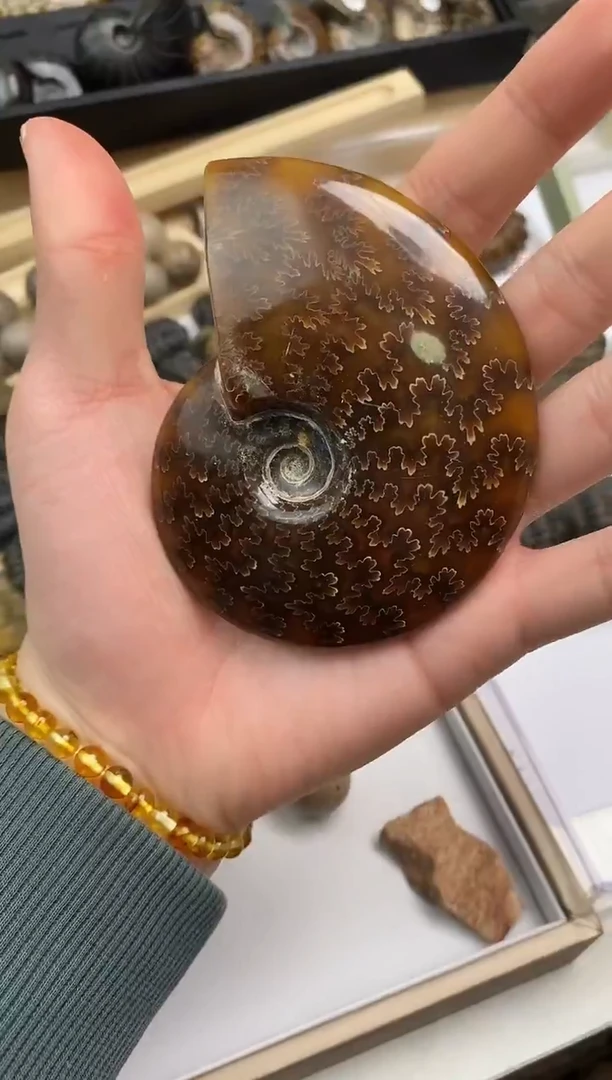 精美摆件创意礼物家居配饰新年礼物个人收藏