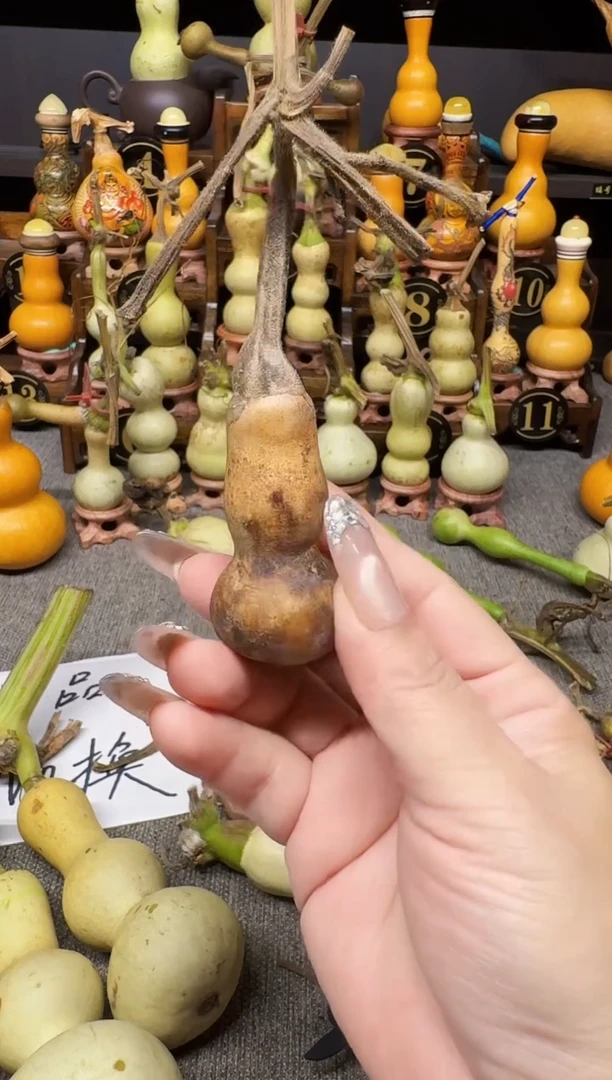 走****件高端葫芦高端客户