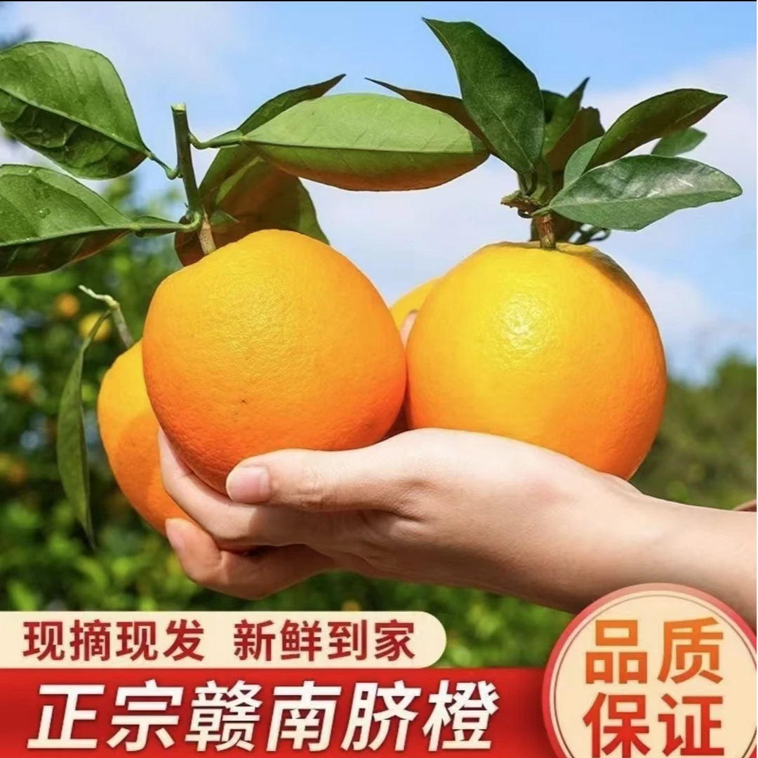 正宗江西赣南脐橙新鲜应季现摘手剥甜橙子净重4.5斤
