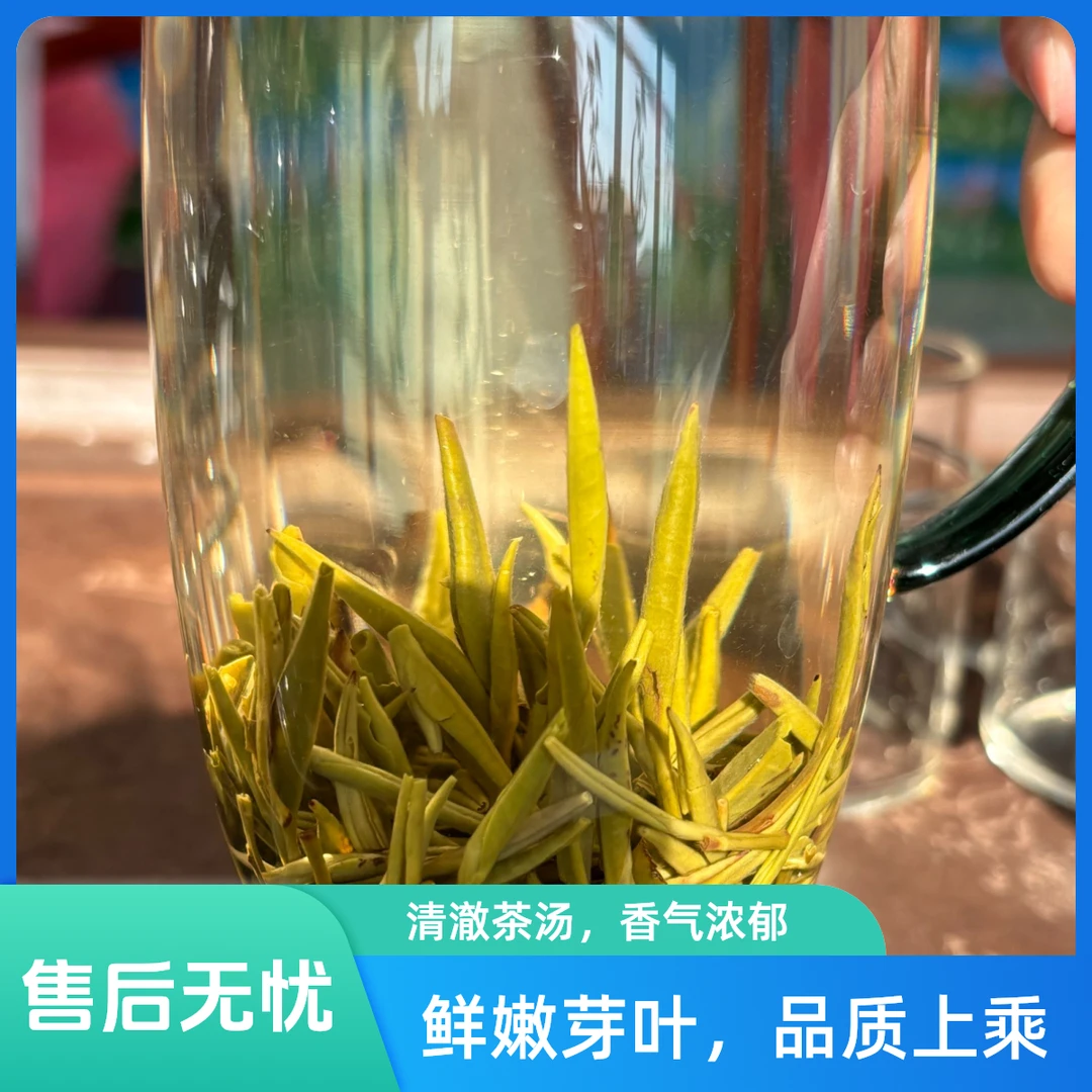 【茉莉龙芽】花香高扬 茶香四溢